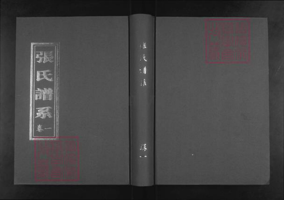 山东省淄博市桓台县新城镇张氏族谱-张氏谱系.pdf电子版插图