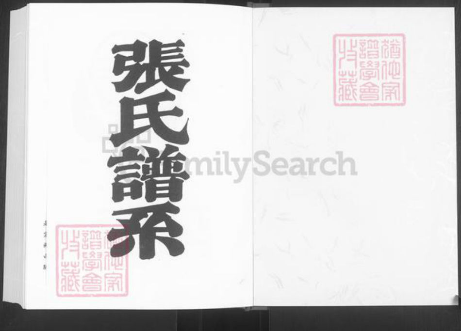 山东省淄博市桓台县新城镇张氏族谱-张氏谱系.pdf电子版插图1