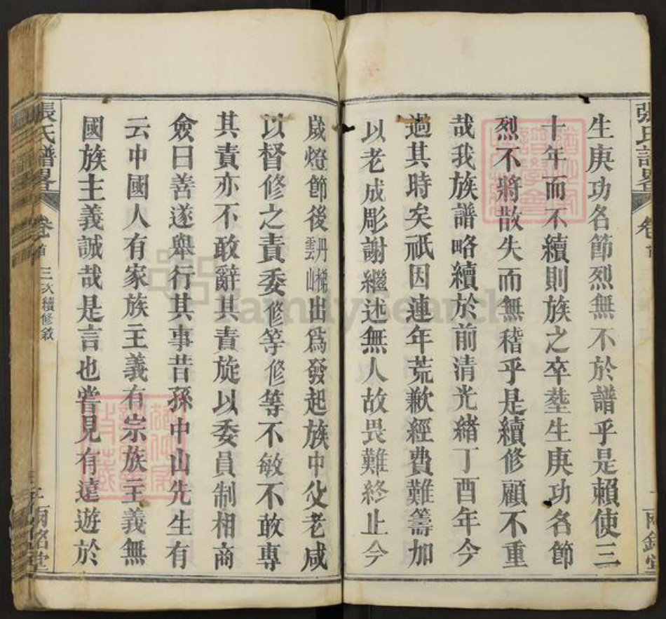 湖北省武汉市新洲区张氏两铭堂族谱-张氏谱略.pdf电子版插图3