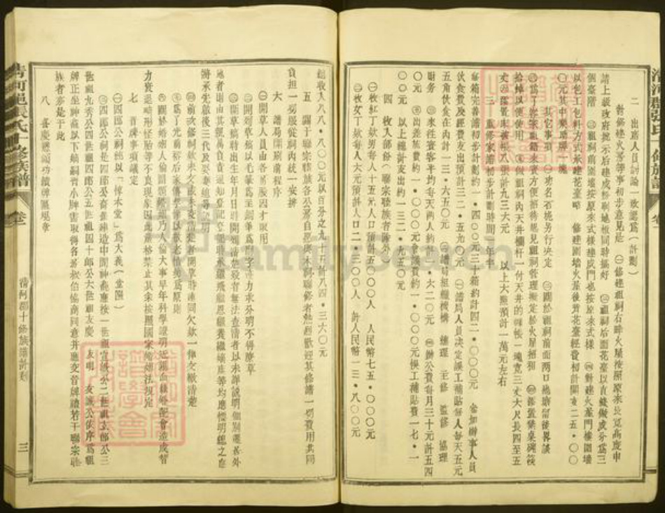 福建省三明市宁化县石壁镇张氏族谱-石壁上市张氏族谱.pdf电子版插图5