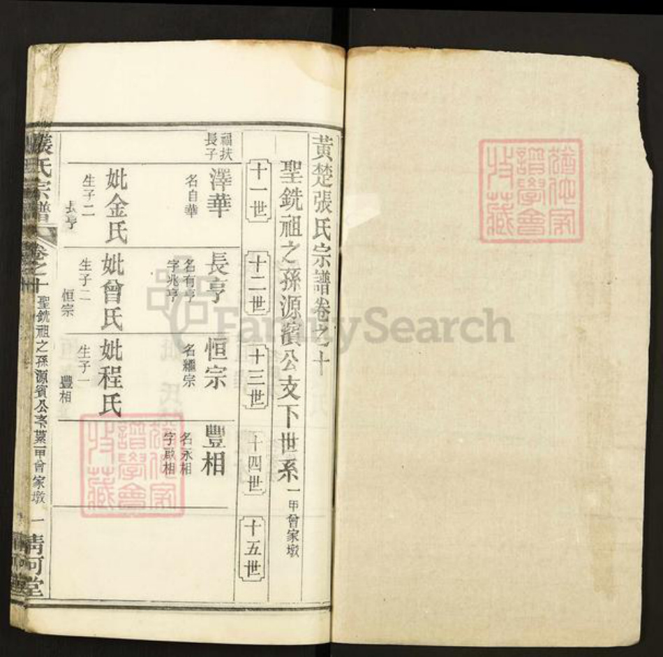 湖北省黄冈市张氏清河堂族谱-张氏宗谱.pdf电子版插图1