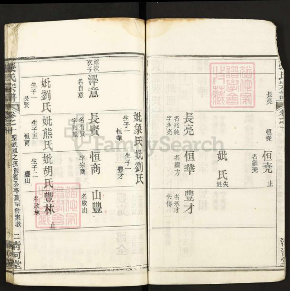 湖北省黄冈市张氏清河堂族谱-张氏宗谱.pdf电子版插图2