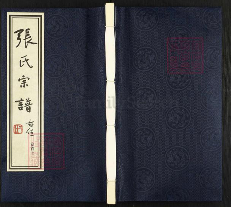 江苏省常州市武进县张氏世恩堂族谱-张氏宗谱.pdf电子版插图