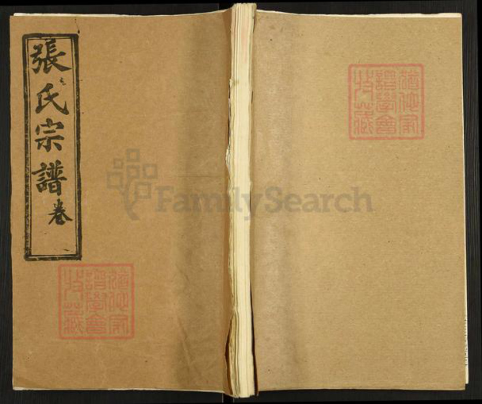 湖北省黄石市阳新县王英镇张氏百忍堂族谱-张氏宗谱.pdf电子版插图