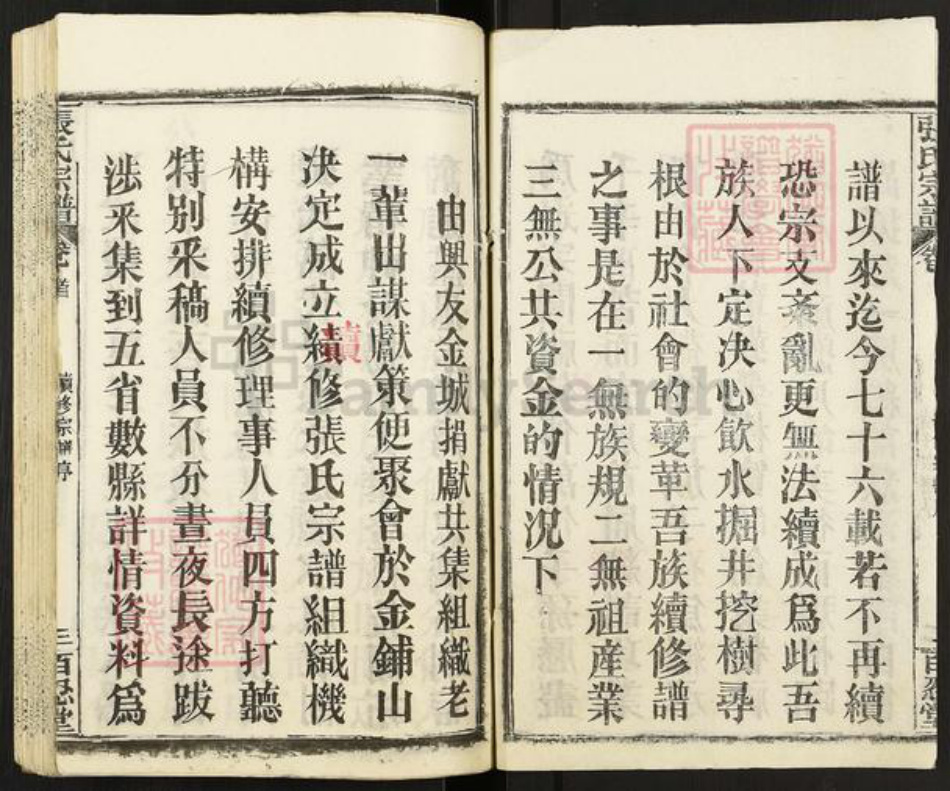 湖北省黄石市阳新县王英镇张氏百忍堂族谱-张氏宗谱.pdf电子版插图3