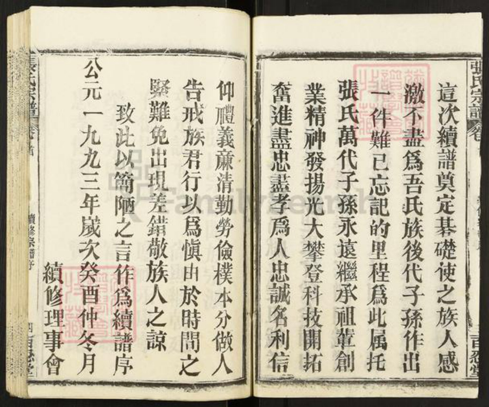 湖北省黄石市阳新县王英镇张氏百忍堂族谱-张氏宗谱.pdf电子版插图4