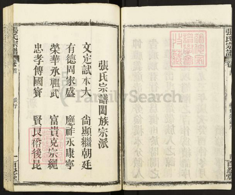 湖北省黄石市阳新县王英镇张氏百忍堂族谱-张氏宗谱.pdf电子版插图5