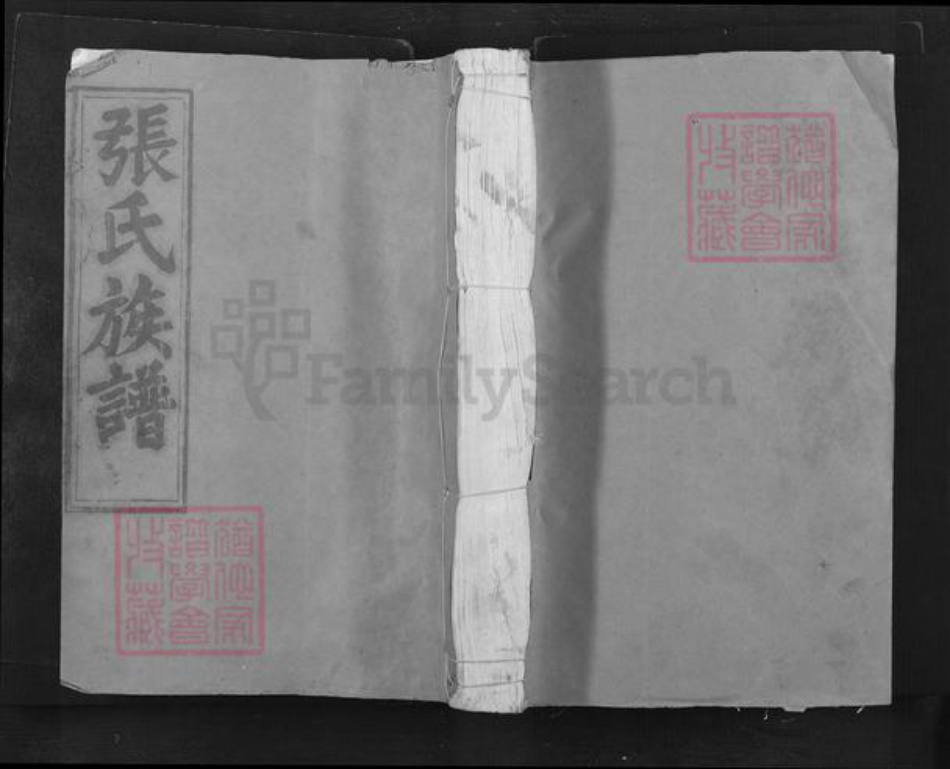 湖北省张氏孝友堂族谱-张氏十二修族谱.pdf电子版插图