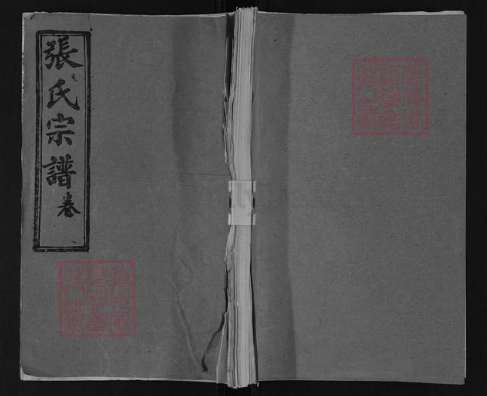 湖北省黄冈市英山县张氏百忍堂族谱-张氏宗谱.pdf电子版插图