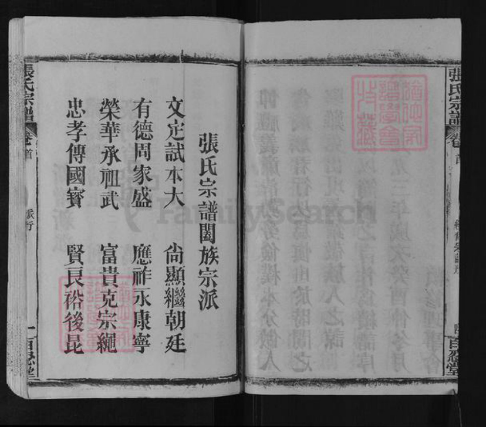 湖北省黄冈市英山县张氏百忍堂族谱-张氏宗谱.pdf电子版插图5