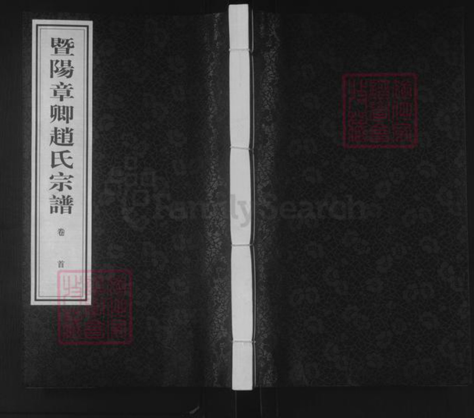 江苏省苏州市张家港市杨舍镇赵氏族谱-暨阳章卿赵氏宗谱.pdf电子版插图
