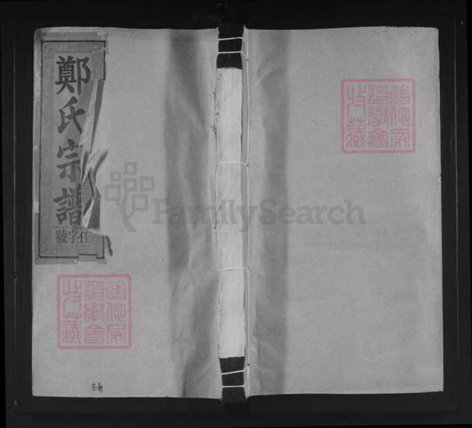 江西省上饶市上饶县尊桥乡郑氏族谱-碧湖郑氏宗谱.pdf电子版插图