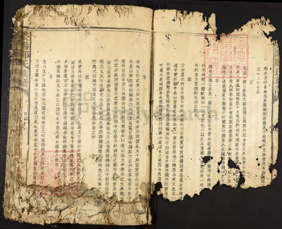 福建省龙岩市永定区合溪乡郑氏族谱-荥阳郑氏族谱.pdf电子版插图3