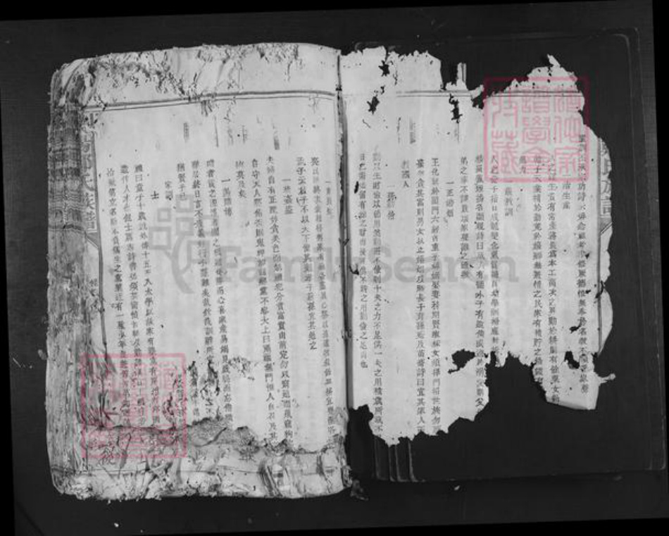 福建省龙岩市长汀县郑氏族谱-荥阳郑氏族谱.pdf电子版插图2