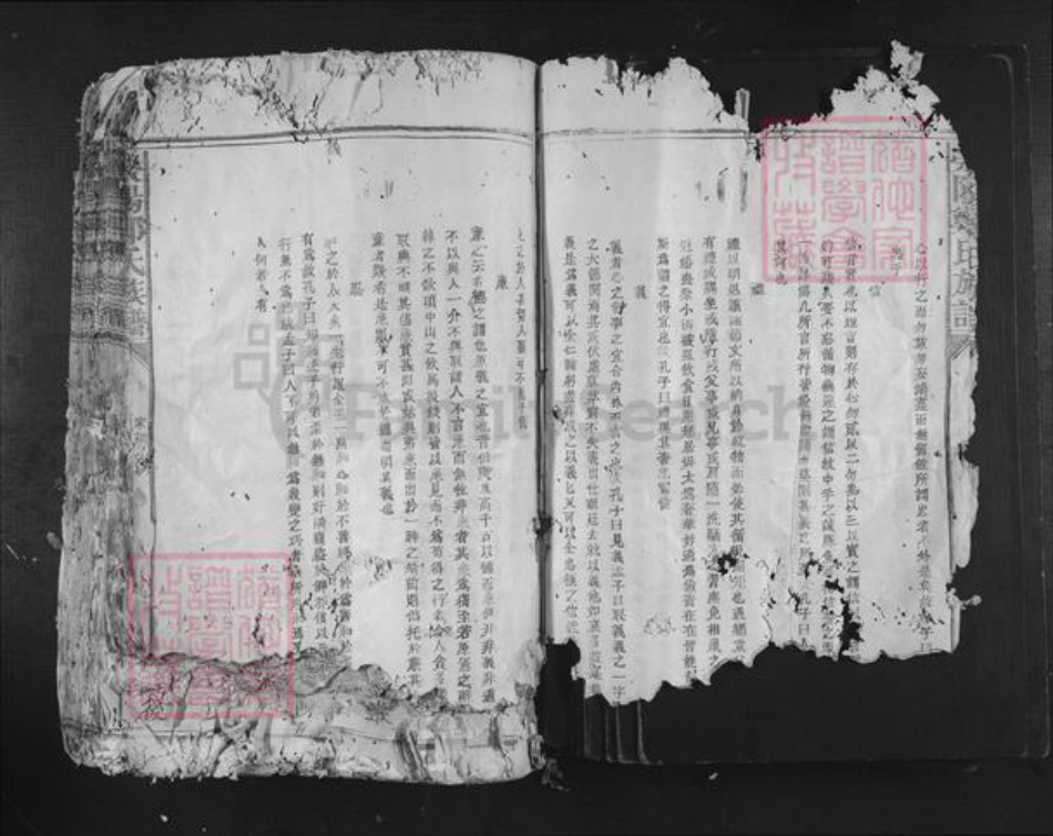 福建省龙岩市长汀县郑氏族谱-荥阳郑氏族谱.pdf电子版插图4