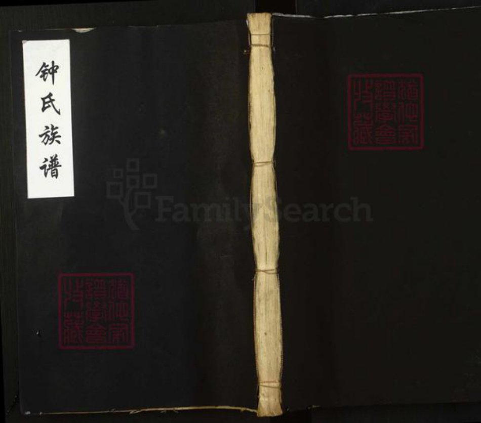 湖南省岳阳市平江县钟氏师德堂族谱-钟氏族谱.pdf电子版插图