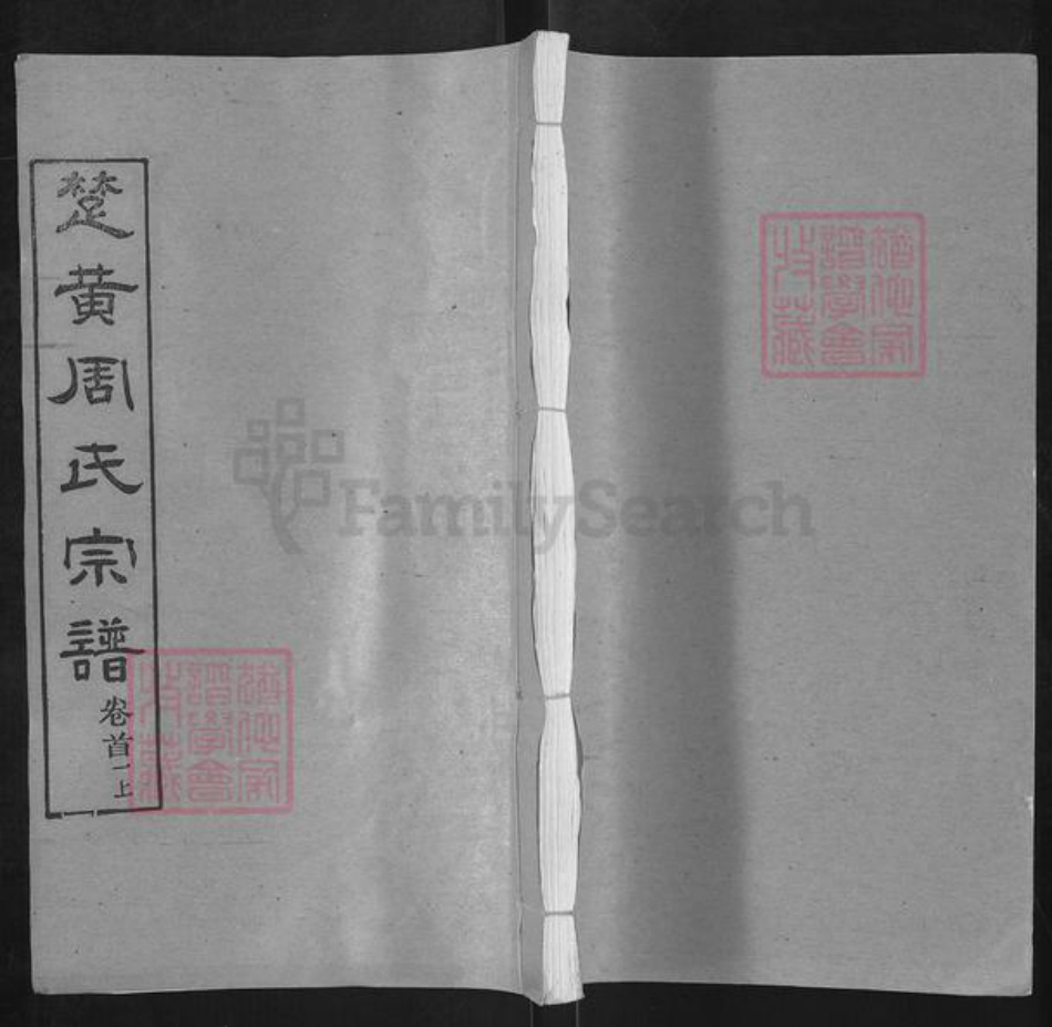 湖北省武汉市新洲区周氏爱莲堂族谱-楚黄周氏宗谱.pdf电子版插图