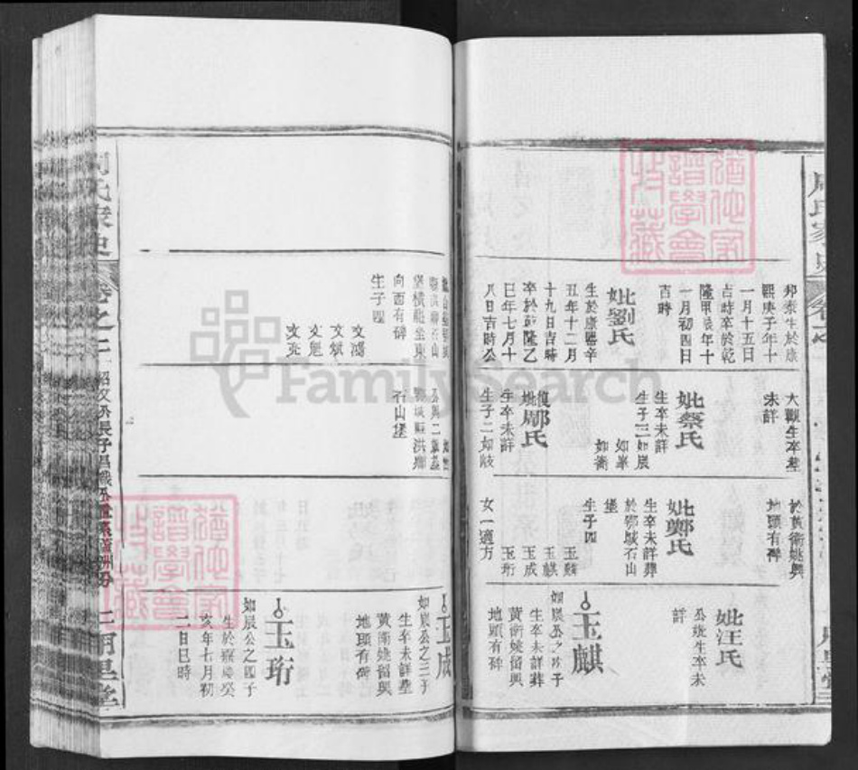 湖北省武汉市新洲区周氏用里堂族谱-周氏家史.pdf电子版插图2
