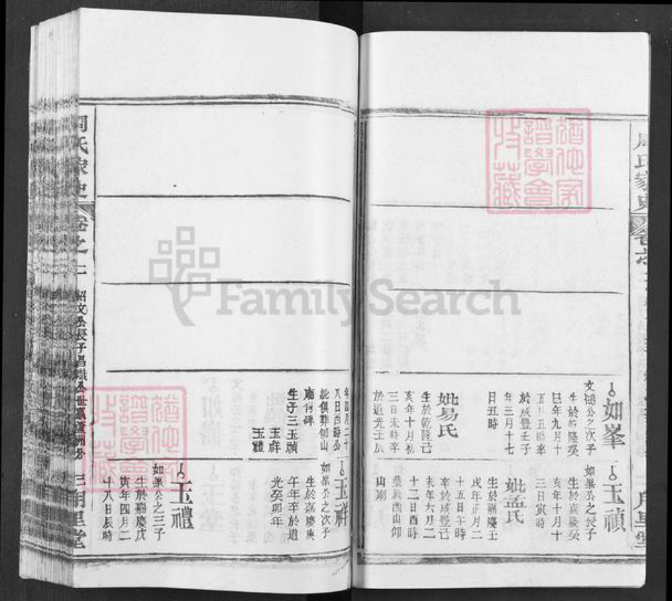 湖北省武汉市新洲区周氏用里堂族谱-周氏家史.pdf电子版插图3
