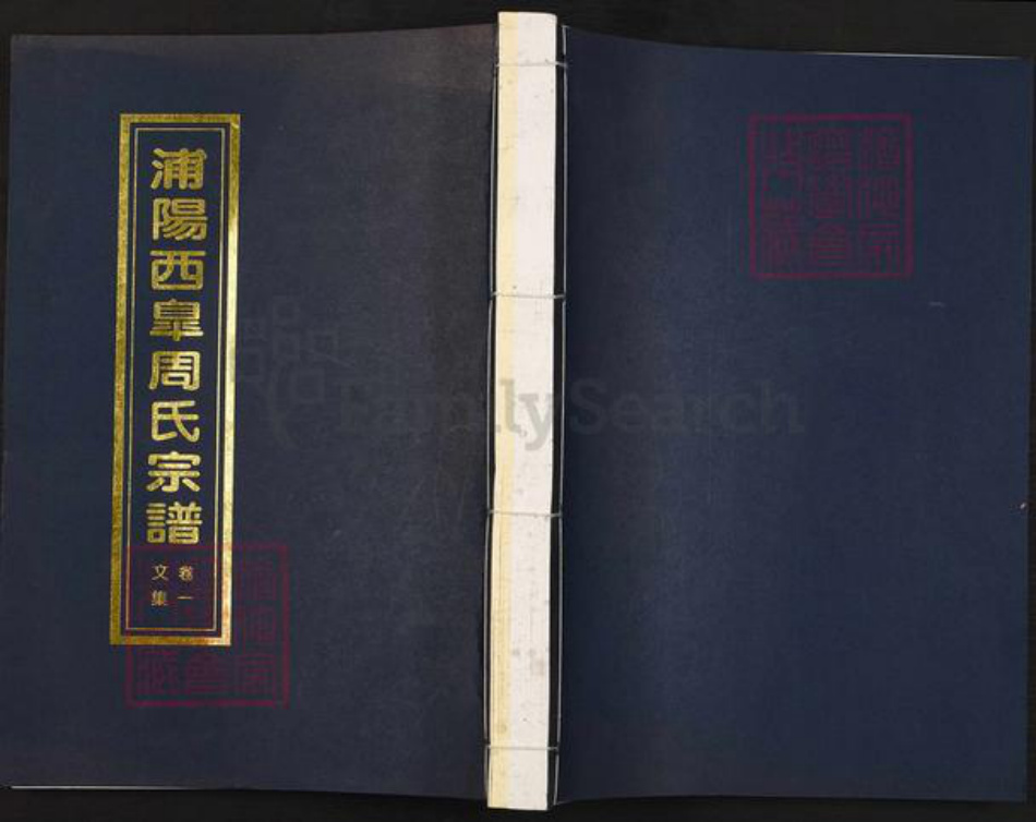 浙江省杭州市萧山区萧山周氏族谱-浦阳西皋周氏宗谱.pdf电子版插图