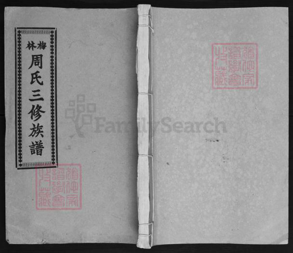 湖南省湘潭市湘乡市潭市镇周氏存着堂族谱-梅林周氏三修族谱.pdf电子版插图