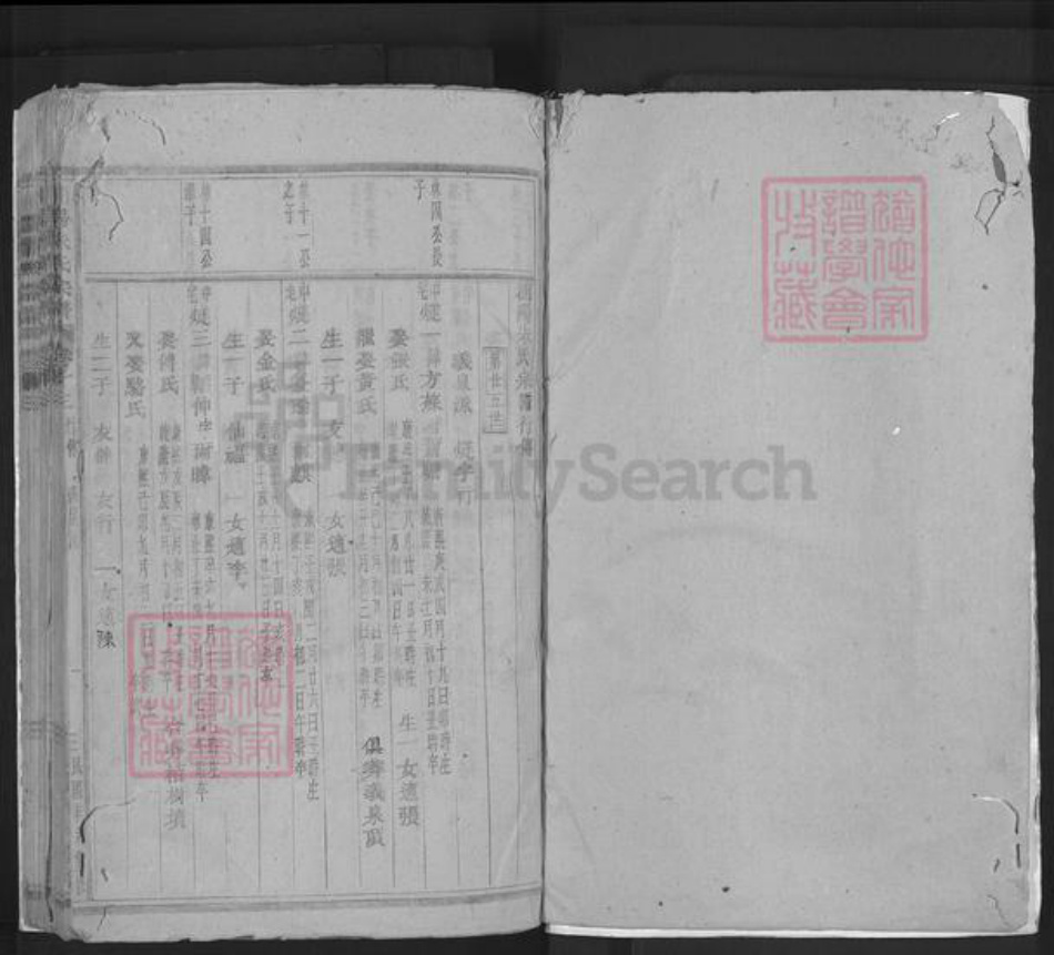 浙江省金华市浦江县朱氏族谱-浦阳朱氏宗谱.pdf电子版插图1