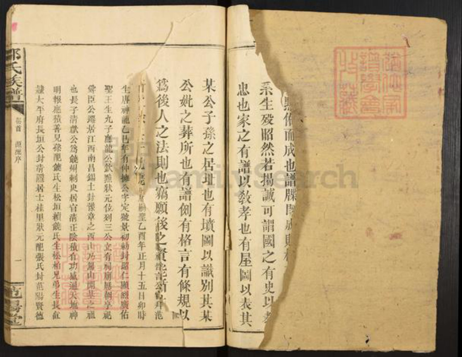 江西省吉安市吉水县邹氏范阳堂族谱-邹氏族谱.pdf电子版插图2
