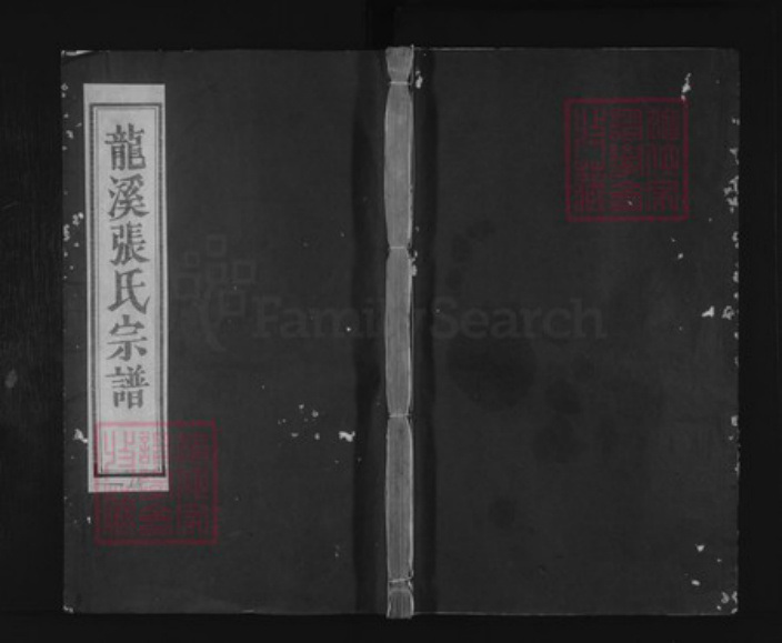 浙江省金华市浦江县张氏族谱-龙溪张氏八甲宗谱.pdf电子版插图