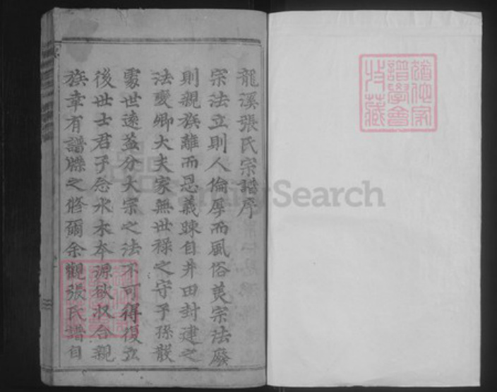 浙江省金华市浦江县张氏族谱-龙溪张氏八甲宗谱.pdf电子版插图1