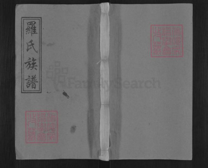 江西省宜春市万载县株潭镇罗氏豫章堂族谱-袁州罗宗庆祠五修族谱.pdf电子版插图