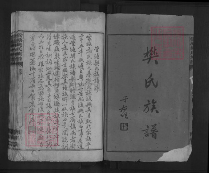湖南省株洲市茶陵县枣市镇樊氏南阳堂族谱-管塘樊氏宗谱.pdf电子版插图1