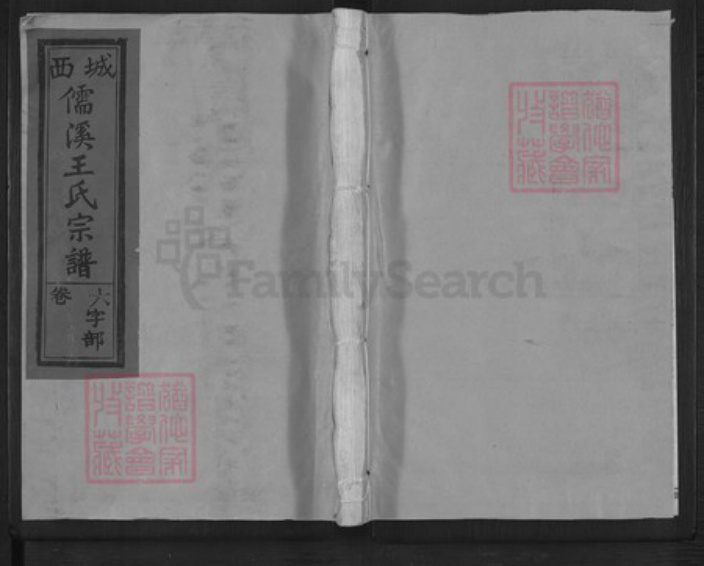 江西省上饶市玉山县王氏诗教堂族谱-城西儒溪王氏宗谱.pdf电子版插图