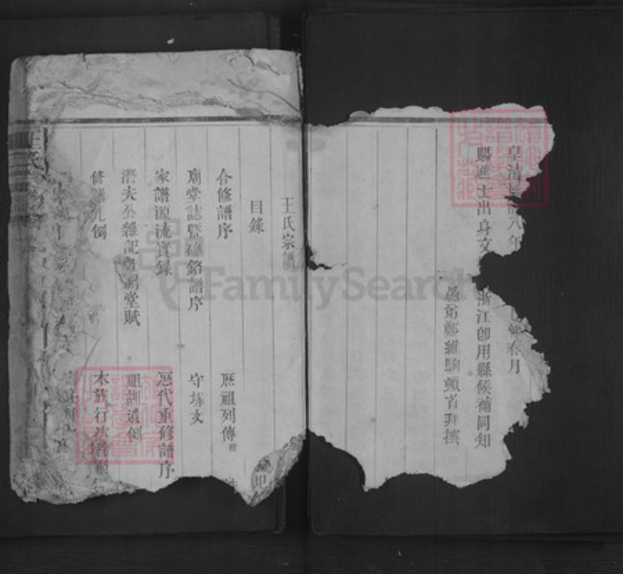 江西省上饶市王氏族谱-王氏宗谱.pdf电子版插图2