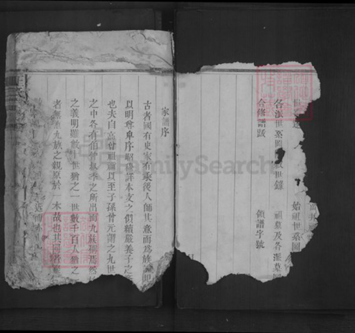 江西省上饶市王氏族谱-王氏宗谱.pdf电子版插图3