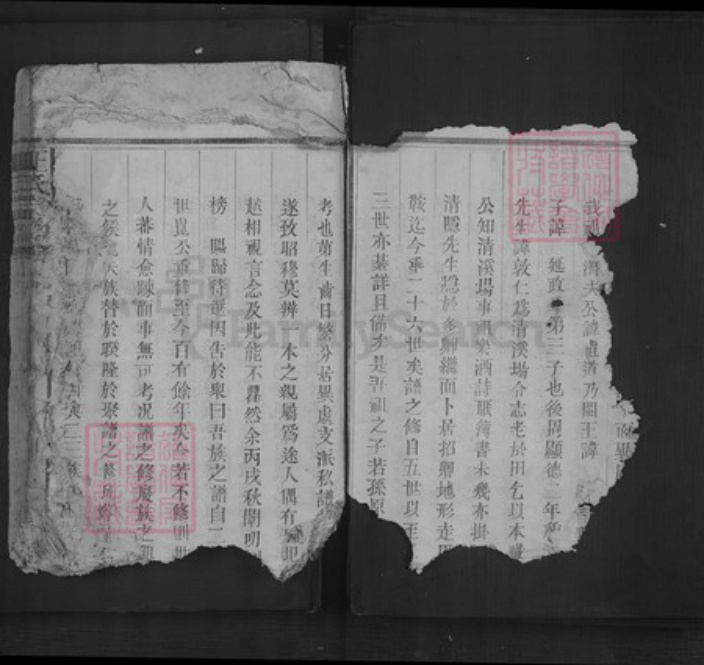 江西省上饶市王氏族谱-王氏宗谱.pdf电子版插图4