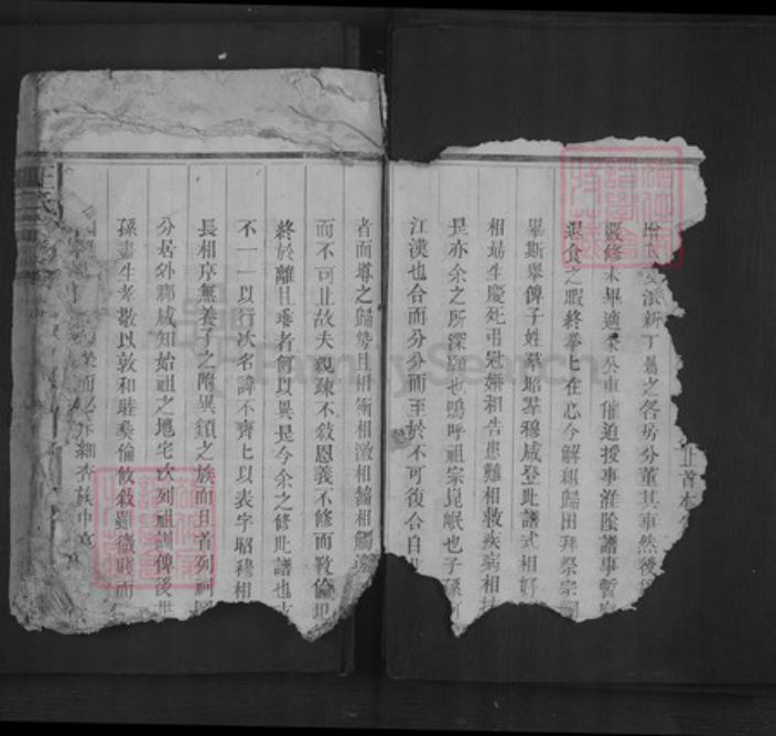 江西省上饶市王氏族谱-王氏宗谱.pdf电子版插图5