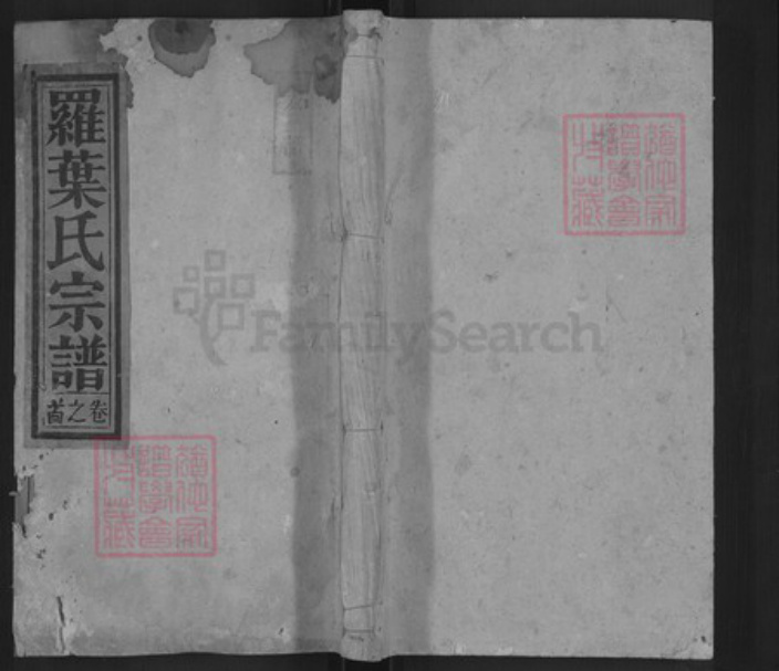 安徽省安庆市宿松县罗氏宝文堂族谱-罗叶氏宗谱.pdf电子版插图