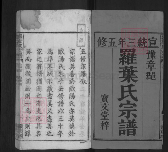 安徽省安庆市宿松县罗氏宝文堂族谱-罗叶氏宗谱.pdf电子版插图1