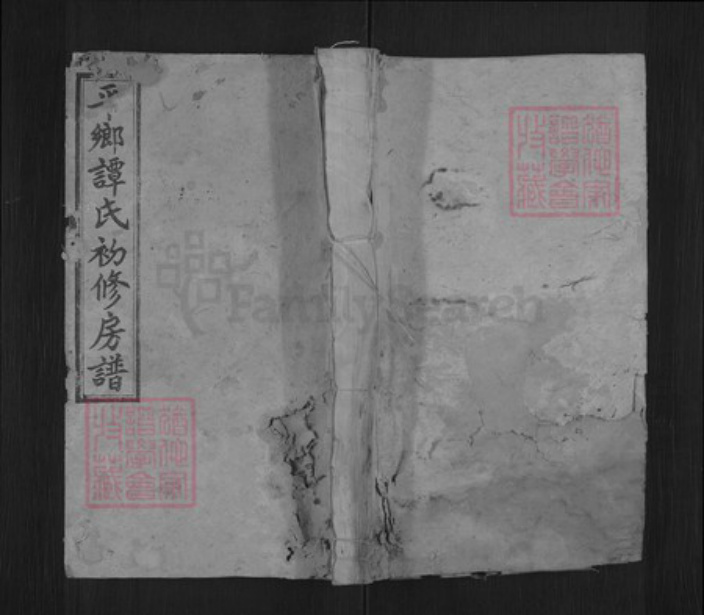 湖南省邵阳市新宁县谭氏敦本堂族谱-邵阳平乡谭氏四修族谱.pdf电子版插图