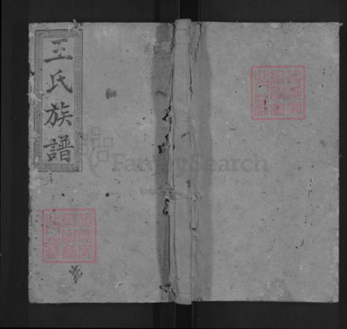 湖南省邵阳市邵东王氏三槐堂族谱-邵阳槎江王氏三修族谱.pdf电子版插图