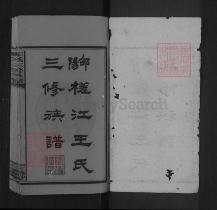 湖南省邵阳市邵东王氏三槐堂族谱-邵阳槎江王氏三修族谱.pdf电子版插图1