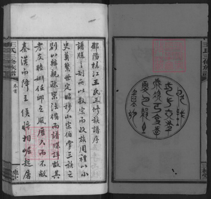 湖南省邵阳市邵东王氏三槐堂族谱-邵阳槎江王氏三修族谱.pdf电子版插图2