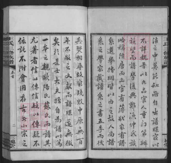 湖南省邵阳市邵东王氏三槐堂族谱-邵阳槎江王氏三修族谱.pdf电子版插图3