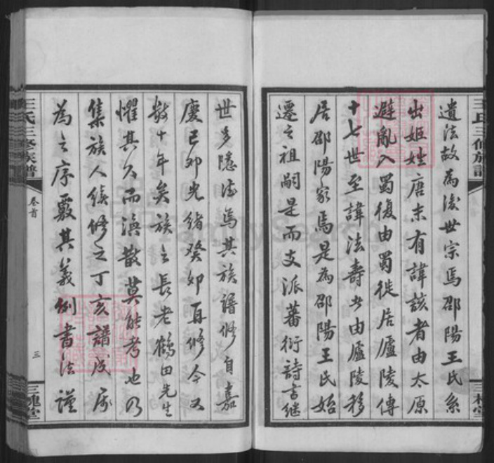 湖南省邵阳市邵东王氏三槐堂族谱-邵阳槎江王氏三修族谱.pdf电子版插图4