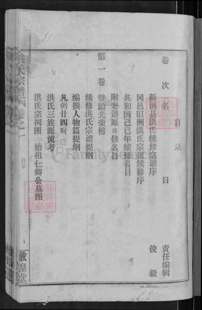 湖北省武汉市新洲区洪氏敦煌堂族谱-洪氏宗谱.pdf电子版插图2
