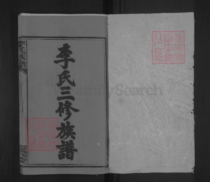 湖南省邵阳市洞口县杨林镇李氏陇西堂族谱-李氏三修族谱.pdf电子版插图1