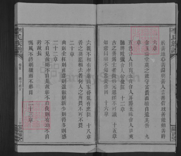 湖南省邵阳市洞口县杨林镇李氏陇西堂族谱-李氏三修族谱.pdf电子版插图3