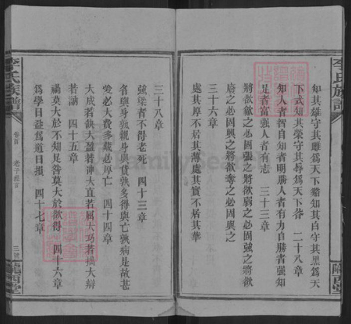 湖南省邵阳市洞口县杨林镇李氏陇西堂族谱-李氏三修族谱.pdf电子版插图4