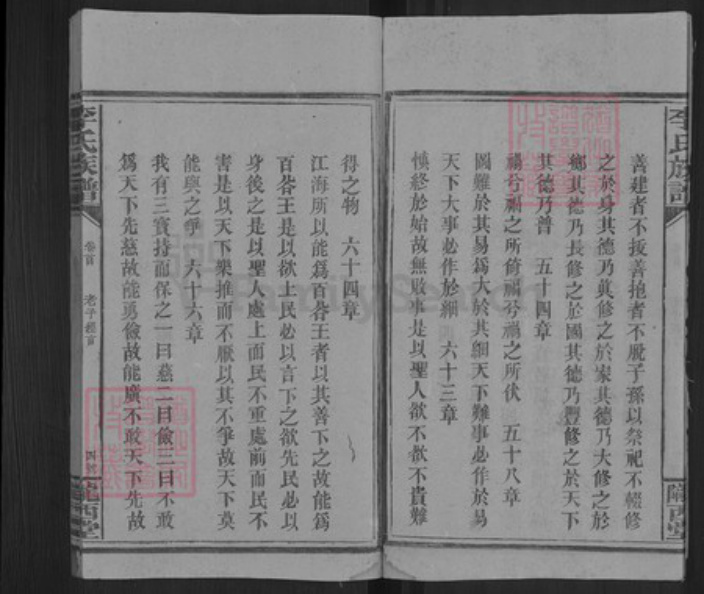 湖南省邵阳市洞口县杨林镇李氏陇西堂族谱-李氏三修族谱.pdf电子版插图5