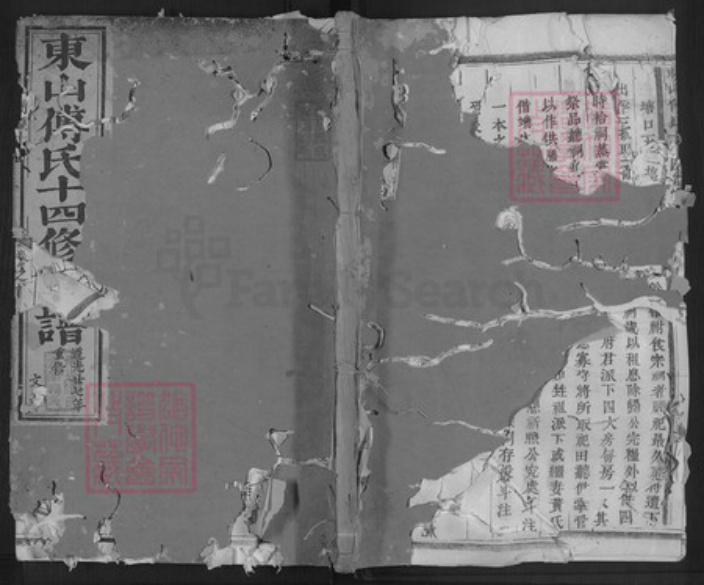 浙江省金华市傅氏族谱-东山傅氏十四修宗谱.pdf电子版插图